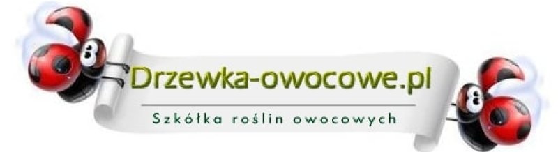 Szkółka drzew