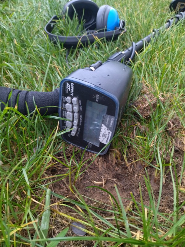 Usługi wykrywaczem metalu metali zgubiona obrączka - 01 Usługi wykrywaczem metalu metali zgubiona obrączka - 01