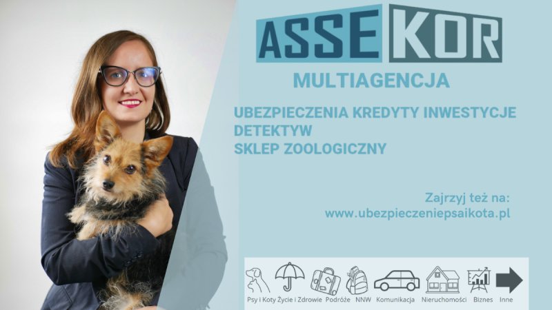 Ubezpieczenia Piekary Śląskie agent ubezpieczeniow