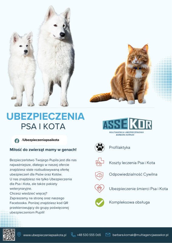 Ubezpieczenia Piekary Śląskie agent ubezpieczeniow - 01 Ubezpieczenia Piekary Śląskie agent ubezpieczeniow - 01