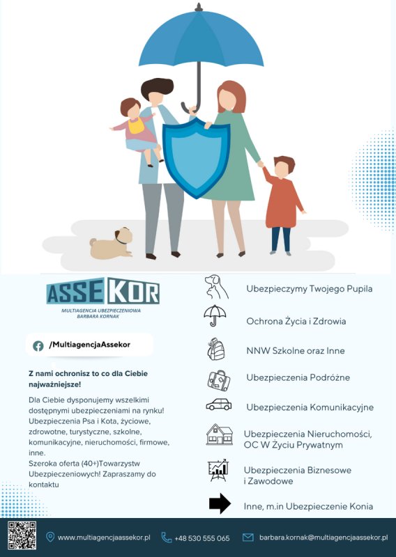 Ubezpieczenia Piekary Śląskie agent ubezpieczeniow - 02 Ubezpieczenia Piekary Śląskie agent ubezpieczeniow - 02