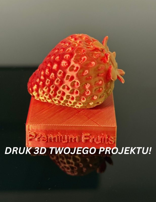 Druk 3D na zamówienie