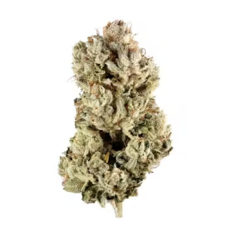 Odmiana marihuany GG4
