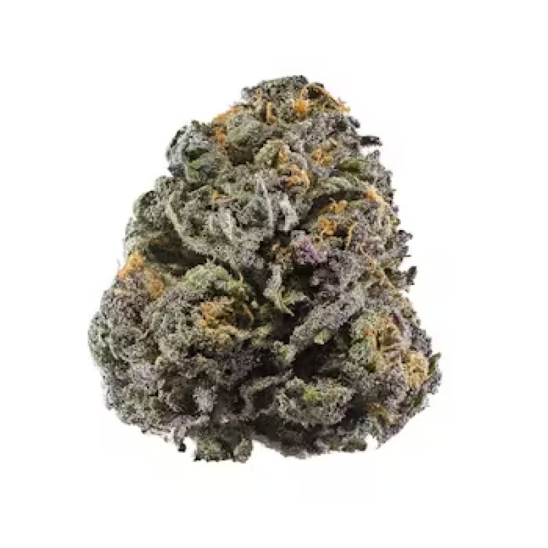 Dziadek Fioletowy Kush