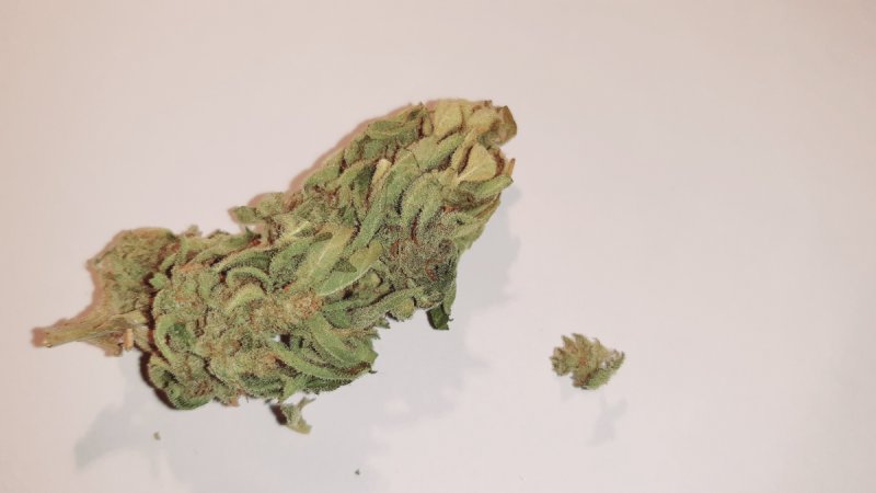 Marihuana thc thc thc thc thc! - 02 Marihuana thc thc thc thc thc! - 02