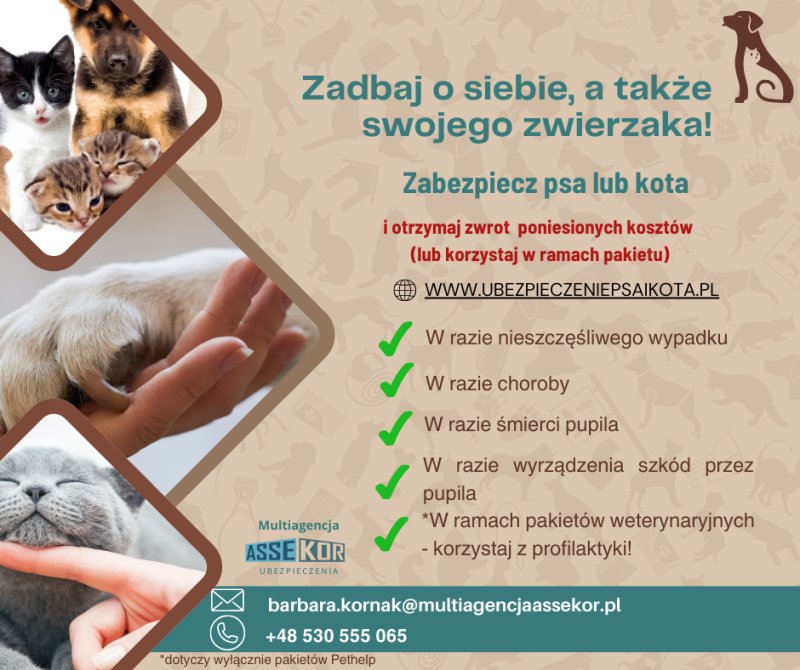 Ubezpieczenie kredyt leasing Piekary Śląskie - 01 Ubezpieczenie kredyt leasing Piekary Śląskie - 01