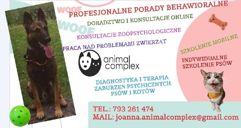 Zoopsycholog, behawiorysta, trener psów, szkolenie psów, konsultacje