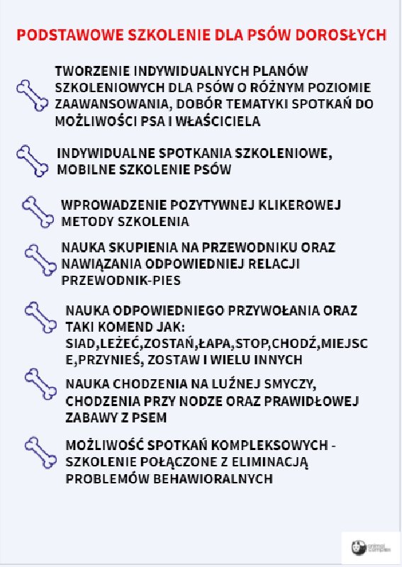 Zoopsycholog, behawiorysta, trener psów, szkolenie psów, konsultacje - 03