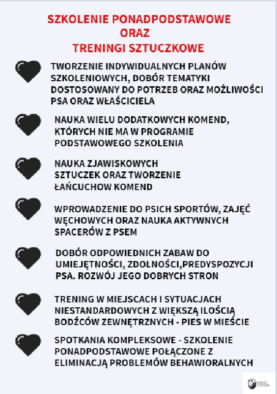 Zoopsycholog, behawiorysta, trener psów, szkolenie psów, konsultacje - 04
