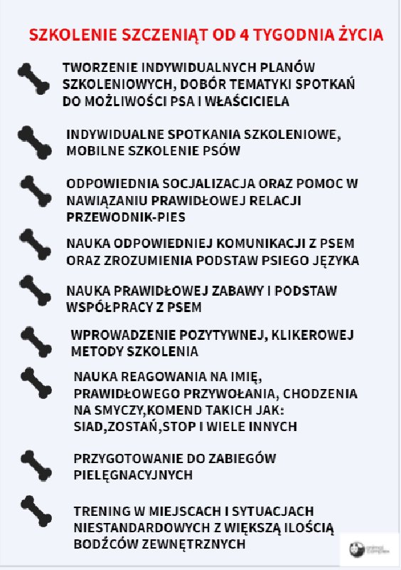 Zoopsycholog, behawiorysta, trener psów, szkolenie psów, konsultacje - 05