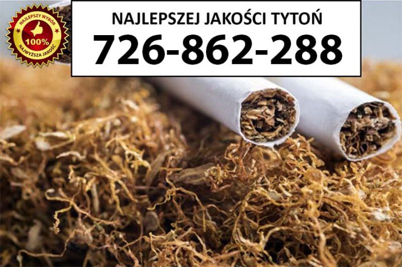 Super jakości Tytoń premium 75PLN/1KG