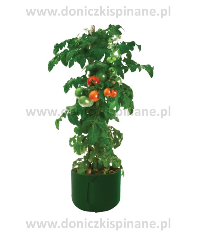 Ekologiczna uprawa Warzyw w Doniczkach Spinanych - 04