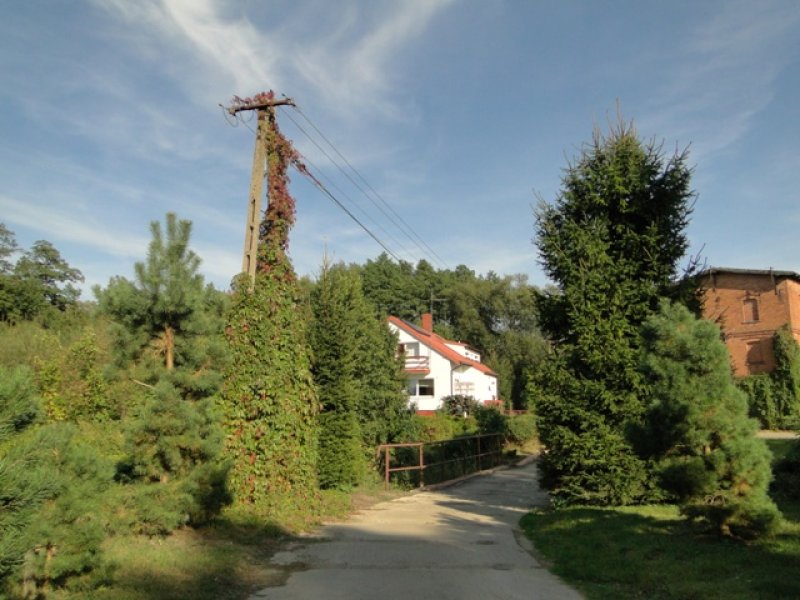 Spływy kajakowe rzeką Wel, Pole namiotowe z zapleczem, Agroturystyka - 07 Spływy kajakowe rzeką Wel, Pole namiotowe z zapleczem, Agroturystyka - 07