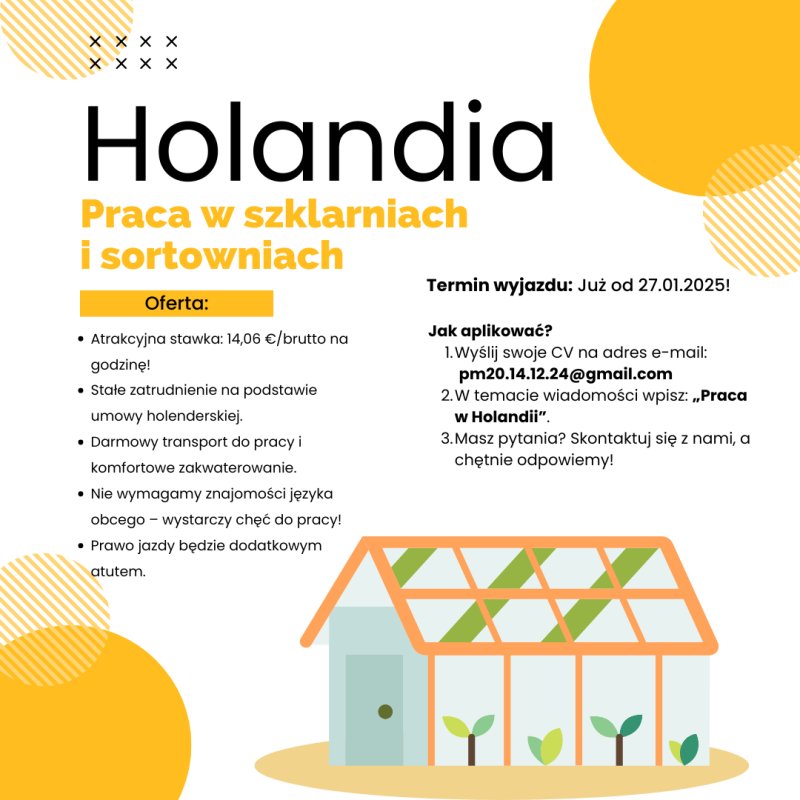 Praca w Holandii UP Recruitment zaprasza!