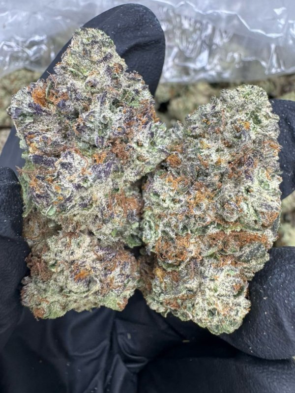 Gelato/Psychodeliczne/Waporyzatory i Chwast
