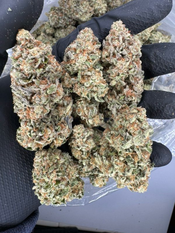 Gelato/Psychodeliczne/Waporyzatory i Chwast - 01