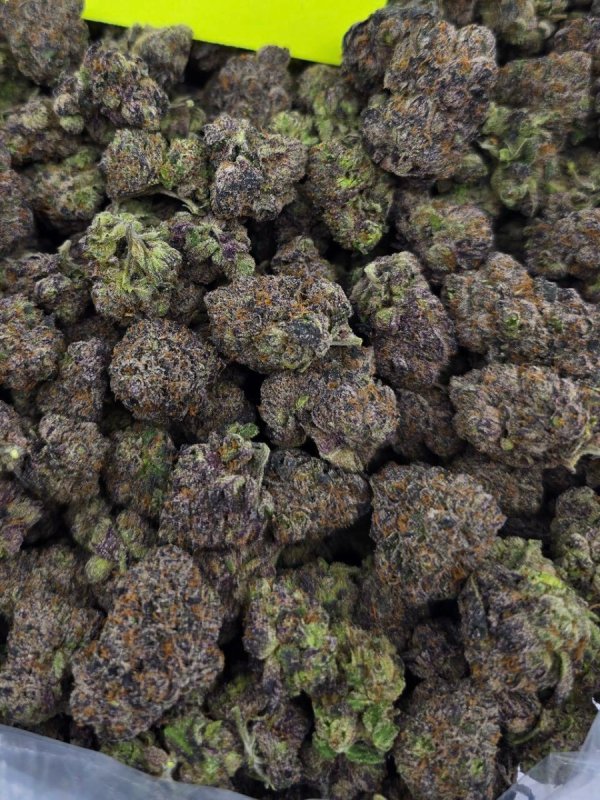 Gelato/Psychodeliczne/Waporyzatory i Chwast - 03