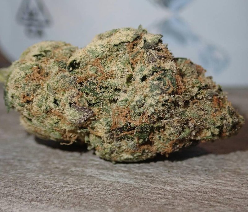Tort lodowy kush
