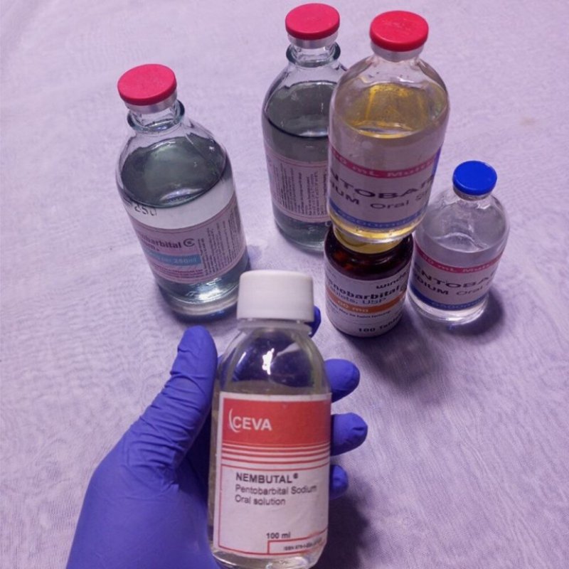 Nembutal injection