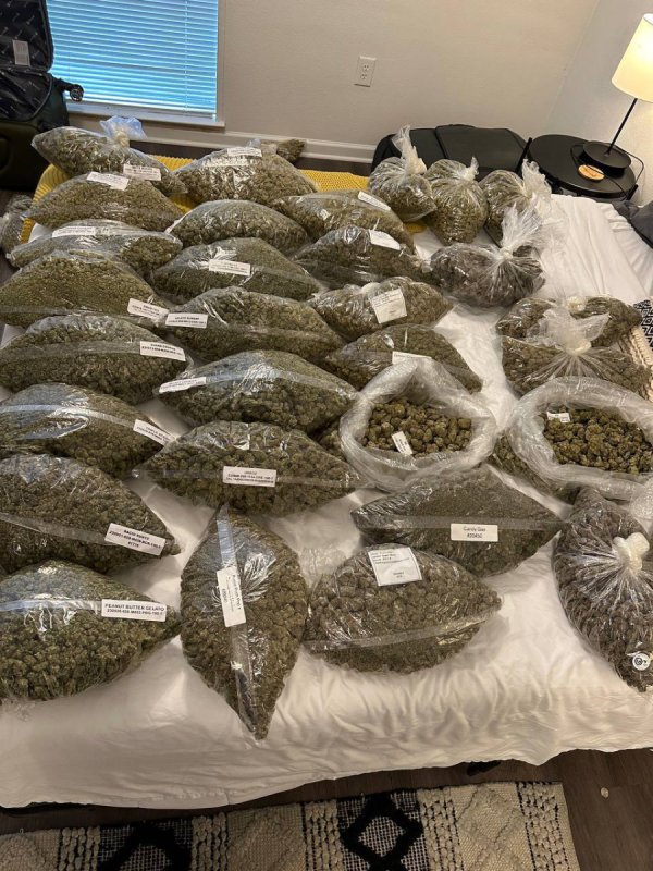 Marihuana/konopie indyjskie - 02