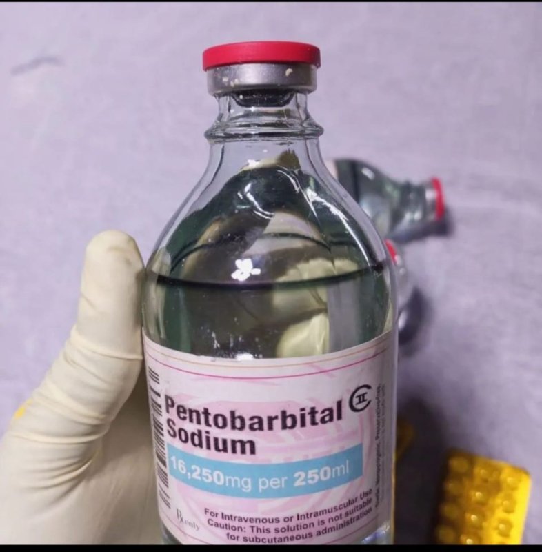Nembutal, Fentanyl, MDMA, Xylazine,GHB - 01 Nembutal, Fentanyl, MDMA, Xylazine,GHB - 01