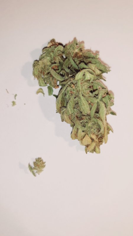 Marihuana THC - 02 Marihuana THC - 02