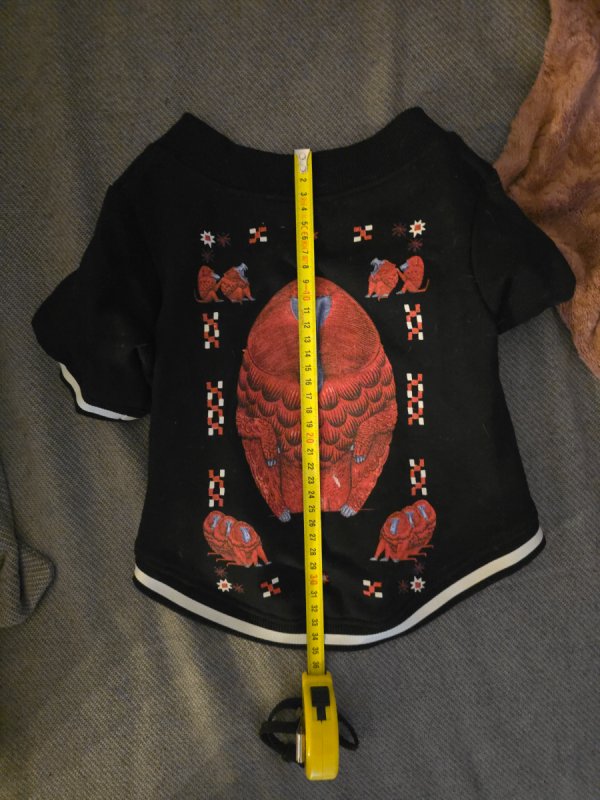 Bluza dla psa
