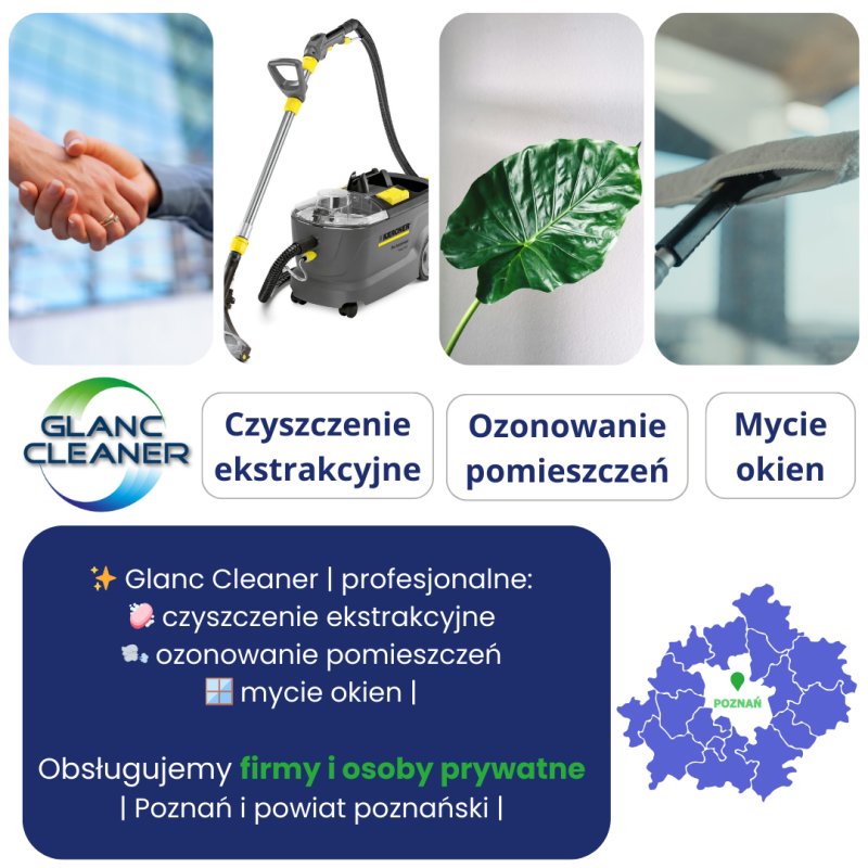 LUBOŃ czyszczenie dywanów pranie wykładzin mebli - 01