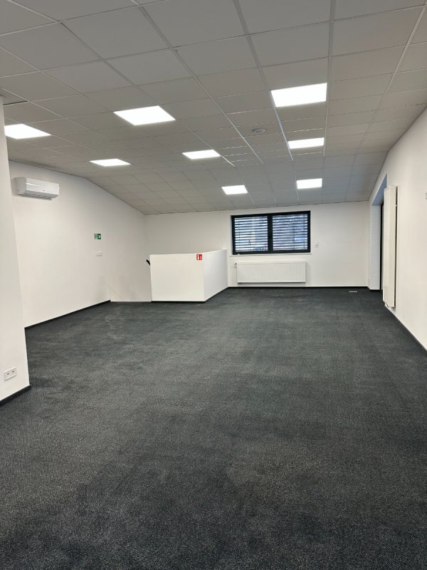 Do wynajęcia lokal - 01