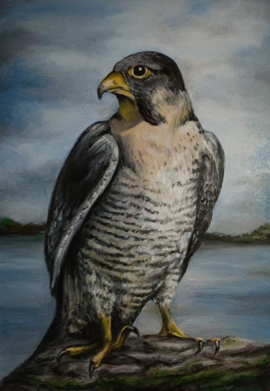 Pejzaże malarstwo olejne na zamówienie - 06