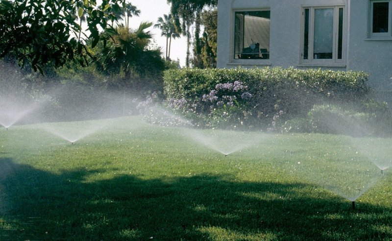 Automatyczne nawodnienie ogrodu