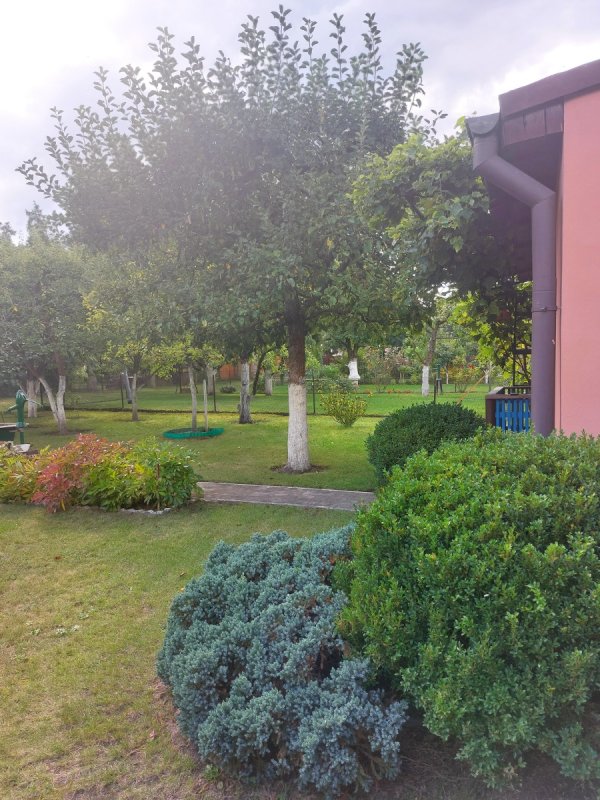 Działka ROD na Rządzu