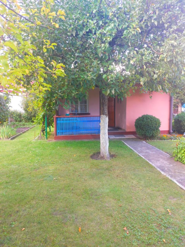 Działka ROD na Rządzu - 02