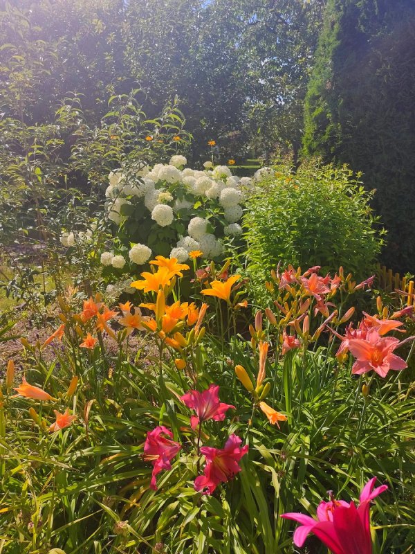 Działka ROD na Rządzu - 04