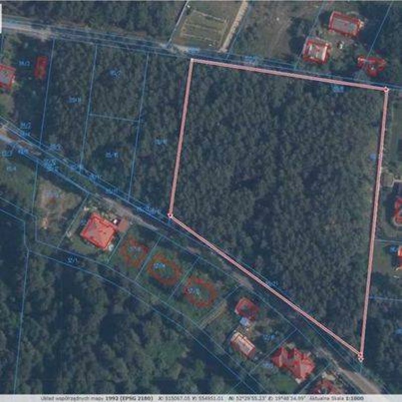 Działki leśne 3000 mkw w okolicy Płocka Liszyno