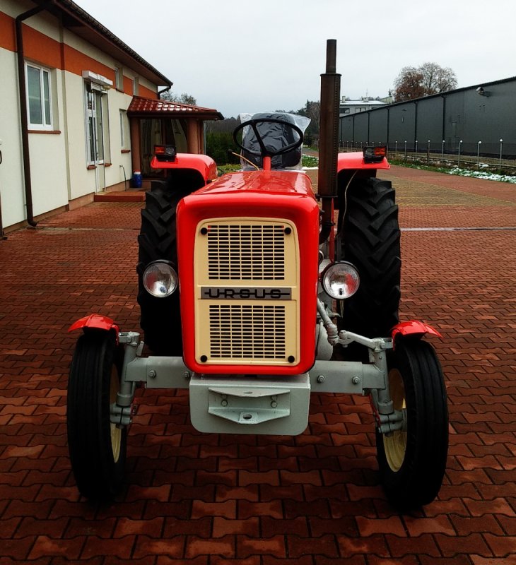 Ciągnik Ursus C360 1985 Odnowiony Zarejestrowany - 02