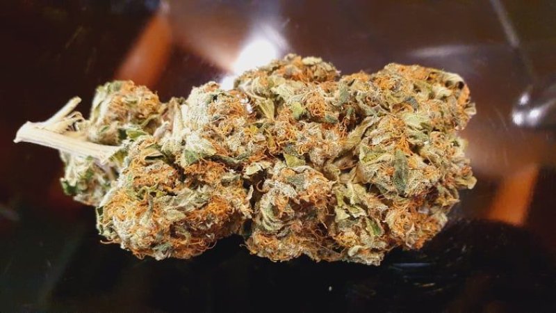 Marihuana 26thc watermelon zkittlez 445