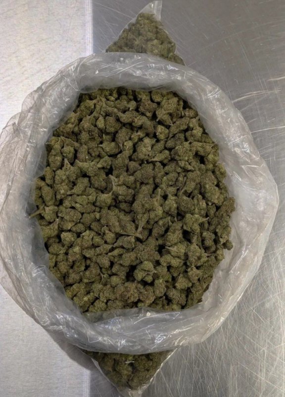 Vape, mushroom, weed, pills, cocaine,