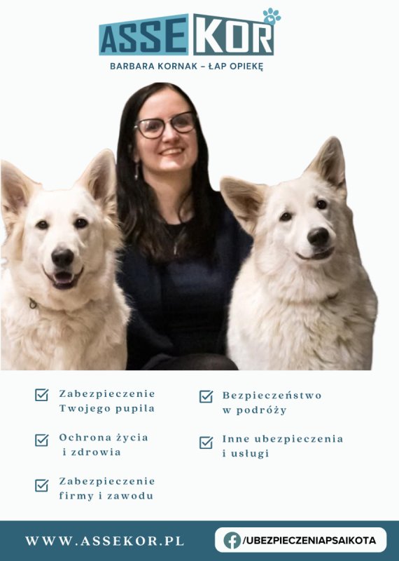 Ubezpieczenia Piekary Śląskie ubezpieczenie psa - 02