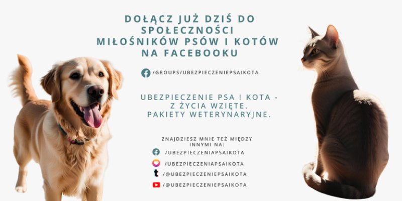 Ubezpieczenia Piekary Śląskie ubezpieczenie psa - 03