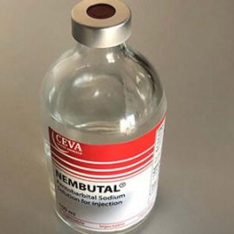 Cyjanek potasu, nembutal, pentobarbital - 01 Cyjanek potasu, nembutal, pentobarbital - 01