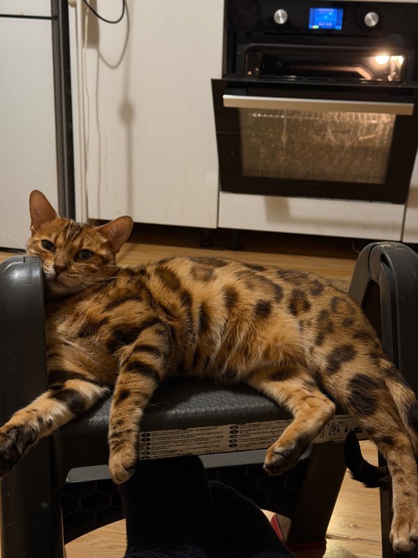 Oddam kota - 02 Oddam kota - 02