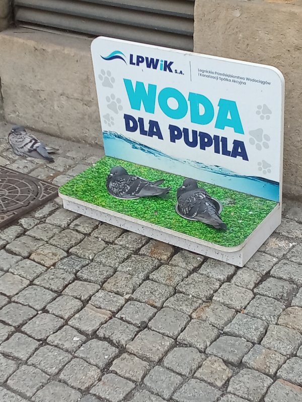 Żona i ja