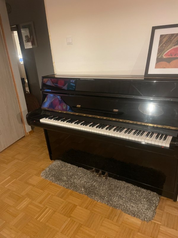 Oddam pianino Calisia - 02