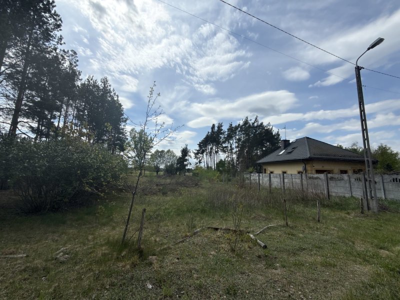 Siedlisko nad rzeką 50 km od Warszawy - 03