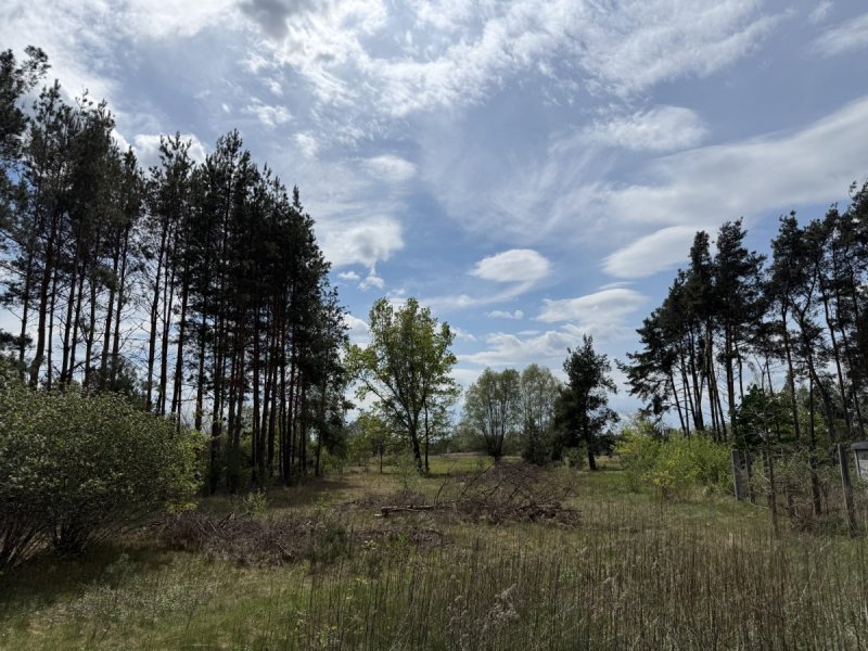 Siedlisko nad rzeką 50 km od Warszawy - 04