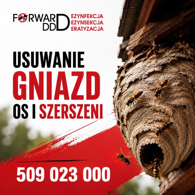 Usuwanie gniazd os i szerszeni