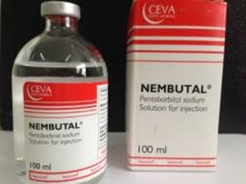 Nembutal - 01