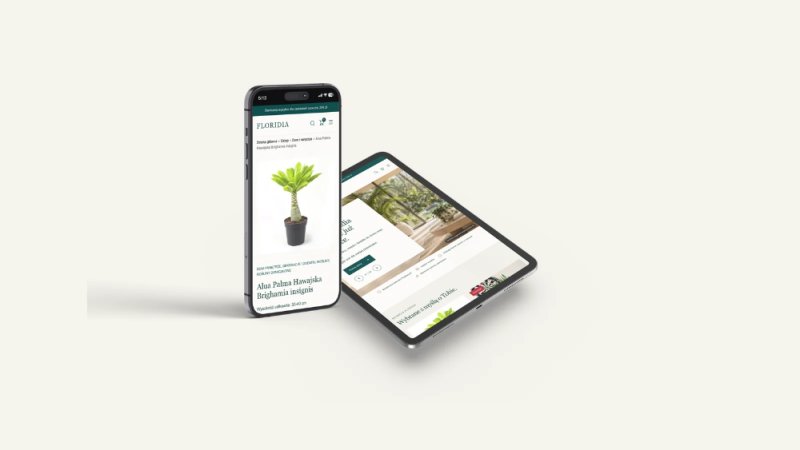 Strony internetowe, sklepy i automatyzacje AI - 02 Strony internetowe, sklepy i automatyzacje AI - 02