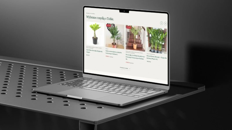 Strony internetowe, sklepy i automatyzacje AI - 03 Strony internetowe, sklepy i automatyzacje AI - 03